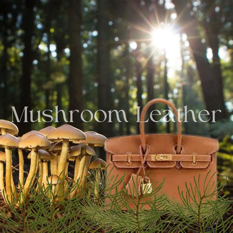 hermes leather mushroom|Hermes vegan mushroom leather.